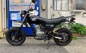 HONDA APE 50 AC16