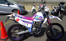 YAMAHA TT250RRAID 4GY