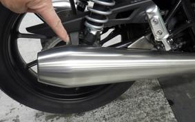 TRIUMPH SPEED TWIN 900 2022