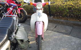 HONDA LITTLE CUB C50