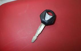 YAMAHA FZ1 FAZER 2009 RN21J