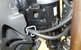 KAWASAKI Z125 PRO 2024 BR125H