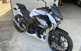 KAWASAKI Z250 ER250C