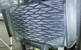 KAWASAKI ELIMINATOR400-3 2025 EL400A