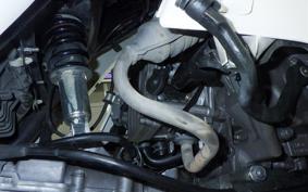 HONDA GYRO CANOPY 2025 TA03