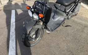 HONDA ZUMAR AF58