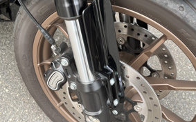 HARLEY FXLRST 2024 YXZ