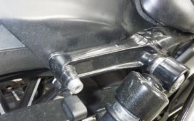 HARLEY XL883N 2010