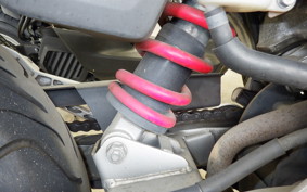 HONDA VTR 250 Gen. 2 MC33