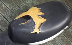 YAMAHA JOG POCHE SA08J