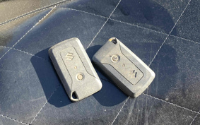 SUZUKI SKYWAVE 250 CJ46A