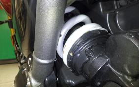 TRIUMPH SPEED 400 2024