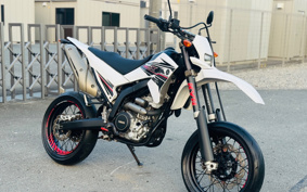 YAMAHA WR250X DG15J