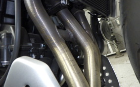 TRIUMPH TRIDENT 660 2024