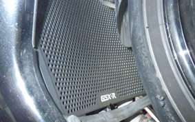 SUZUKI GSX-R600 2013