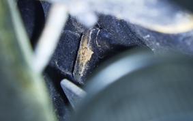 HONDA DIO 110 2020 JF31