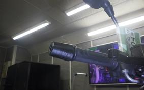 BENELLI レオンチーノ250 2018