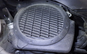 HONDA LEAD 110 1985 JF19