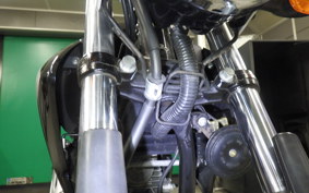 YAMAHA YBR250