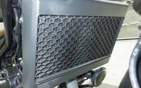 HONDA REBEL 250 S MC49