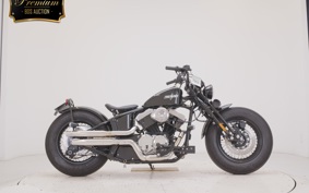 OTHER UNREGISTERED MODEL by BDS250 2024