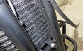 TRIUMPH SCRAMBLER 900 2009