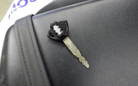 SUZUKI GSX-R1000 2010