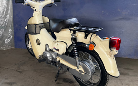 HONDA LITTLE CUB C50