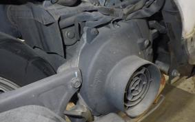 HONDA TODAY 2024 AF61