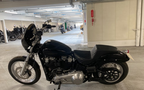 HARLEY HARLEY FXST1340-1450 2020 BVJ