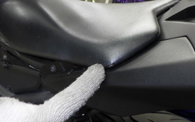 KAWASAKI NINJA 250 EX250L