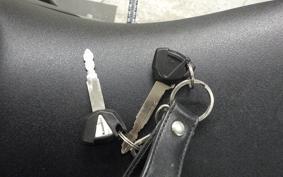 KAWASAKI NINJA 1000 2013