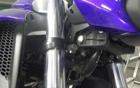 YAMAHA FZ250