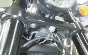 HARLEY XG750 STREET ROD 2020