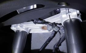KAWASAKI NINJA 1000SX 2024 ZXT02K