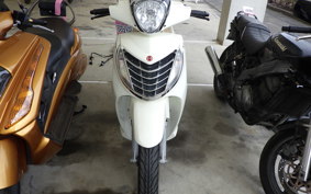 MALAGUTI CHENTORO160IE(ショ