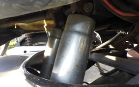OTHER UNREGISTERED MODEL by BDS TRIKE250