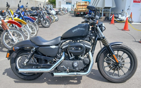 HARLEY XL883N 2013 LE2