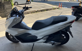 HONDA PCX 125 JF81