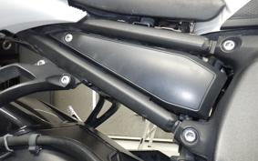 YAMAHA FZ1 FAZER 2010 RN21J