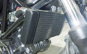 HONDA VTR 250 Gen. 2 2021 MC33