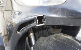 OTHER +UNREGISTERED MODEL by BDS TRIKE 2025