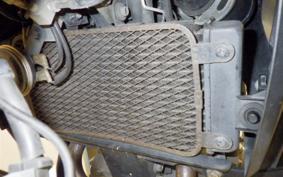 SUZUKI Vｽﾄﾛｰﾑ250A 2017