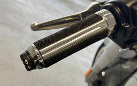 HARLEY  HARLEY FLFBS 2024 YGK