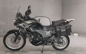 KAWASAKI  VERSYS X250 LE250D