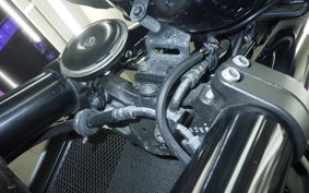 KAWASAKI Z900RS 2022 ZR900C