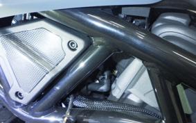 INDIAN FTR1200 2025