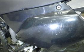 KAWASAKI KLX250D TRACKER X 2025 LX250V