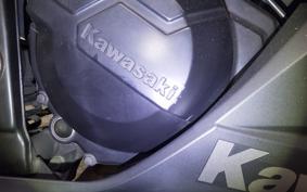 KAWASAKI NINJA 250 2024 EX250L