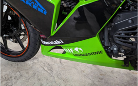KAWASAKI NINJA 250R EX250K